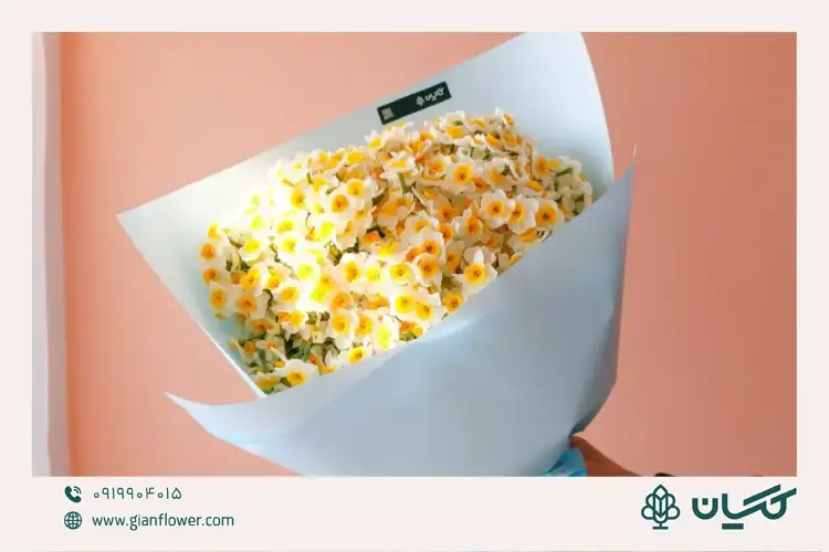 انواع گل نرگس 