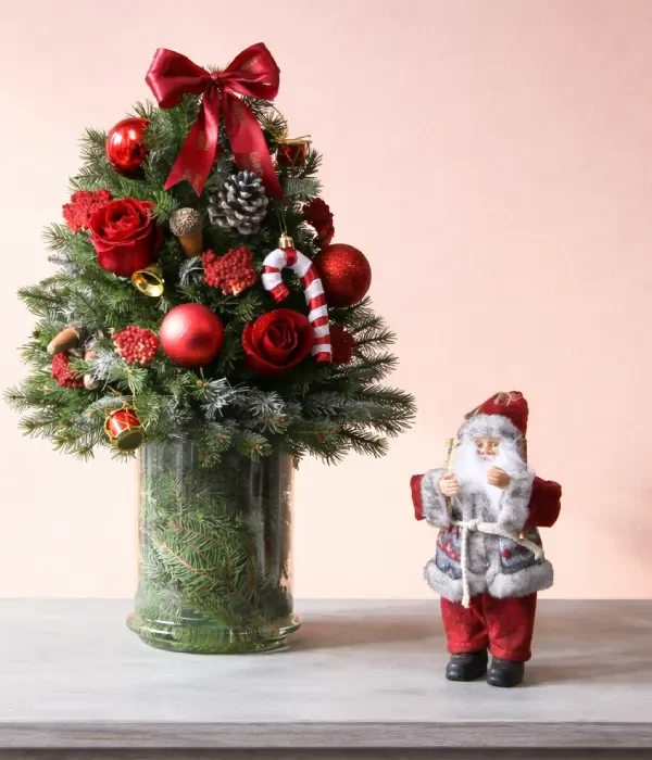 انواع گل کریسمس | معرفی بهترین گل‌ها و گیاهان کریسمسی برای هدیه و دکور