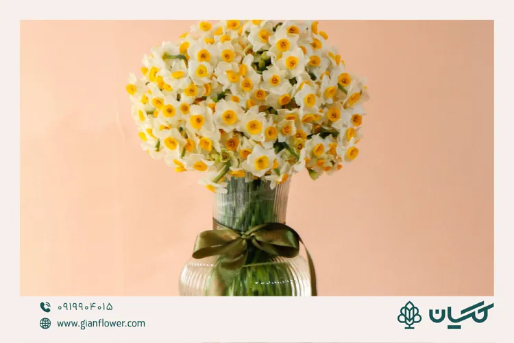 گلدان‌های شیشه‌ای برای مادرهای خوش‌سلیقه