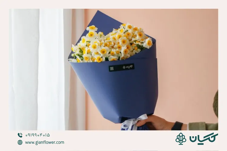 عکس دسته گل نرگس 100 شاخه از مجموعه گل گیان 