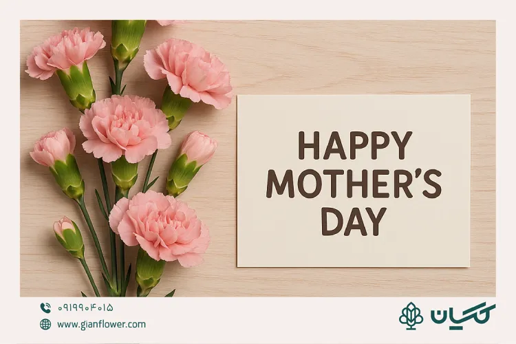 هدیه روز مادر با قیمت مناسب؛ ساده و ارزان اما احساسی