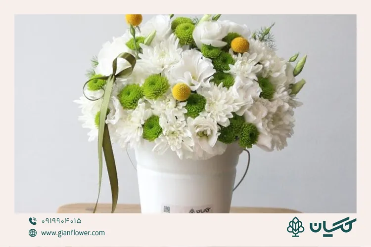 گلدان سطل فلزی؛ هدیهای فانتزی و دانشجویی