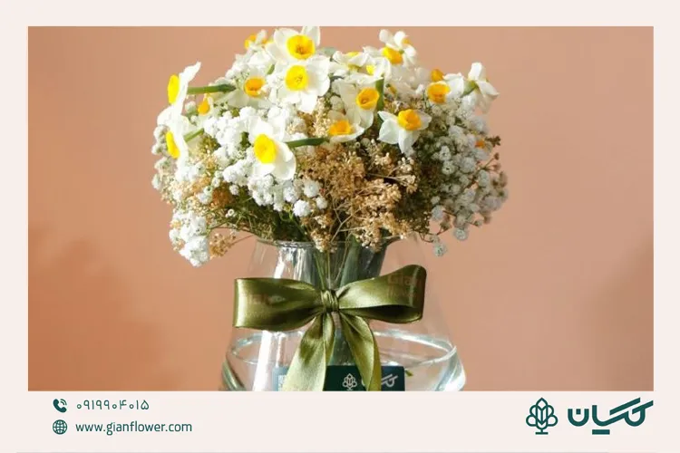 گلدان شیشهای؛ هدیهای مینیمال و شیک برای روز دانشجو