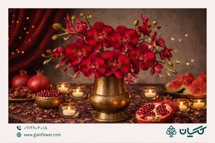 گل ارکیده قرمز، گل مخصوص شب یلدا
