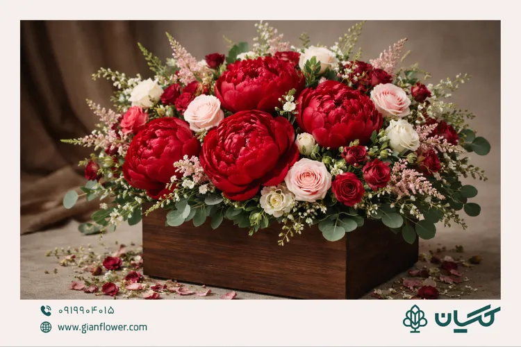 گل پیونی قرمز (گل صدتومانی قرمز)