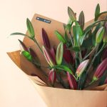 لیلیوم اورینتال سماقی دیزاین مینیمال