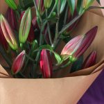 گل لیلیوم اورینتال قرمز سماقی