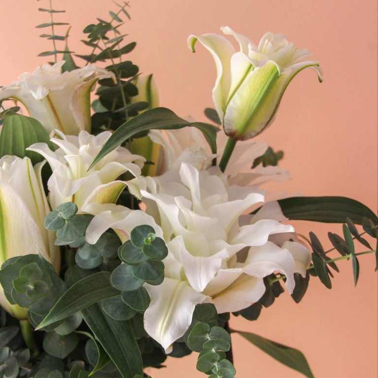 لی لی رز سفید با اکالیپتوس