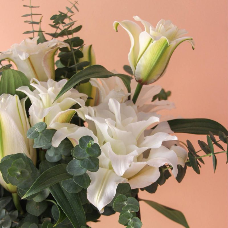 لی لی رز سفید با اکالیپتوس