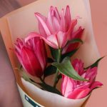 لی لی رز صورتی