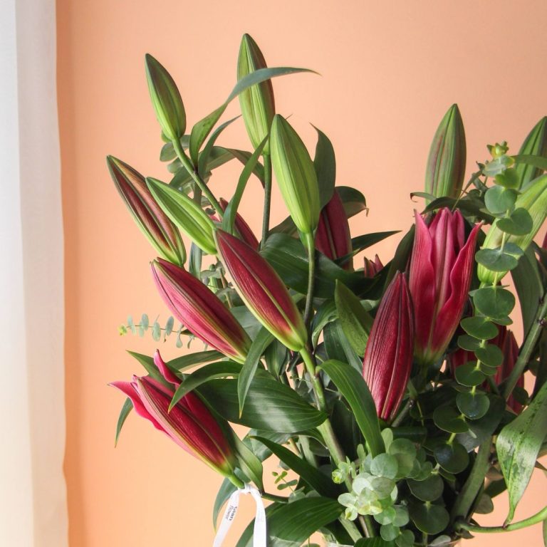 لیلیوم اورینتال سماقی