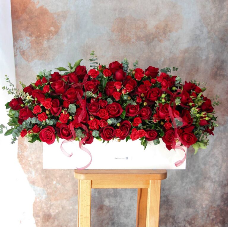 باکس گل رز قرمز ۵۰ شاخه