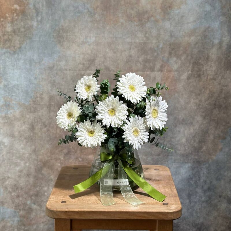 گلدان مینیمال ژربرا سفید