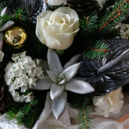 گل برای تبریک کریسمس