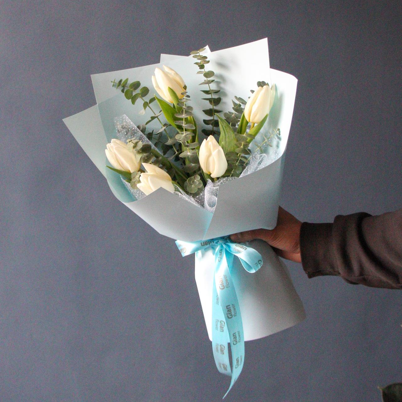 photo_2026-02-17_12-08-17