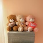 عروسک خرس تدی با قلب