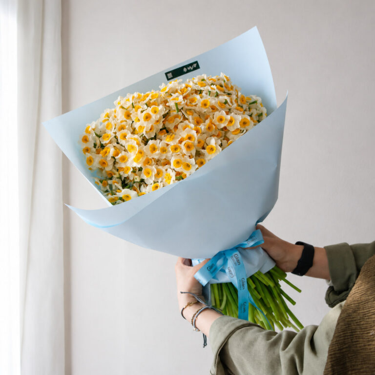 دسته گل نرگس ۲۰۰ شاخه - گلفروشی گیان